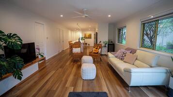 TV, fireplace, books