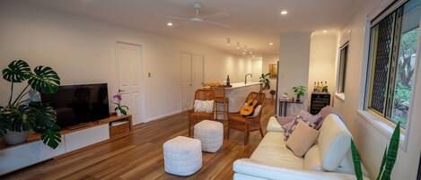 TV, fireplace, books