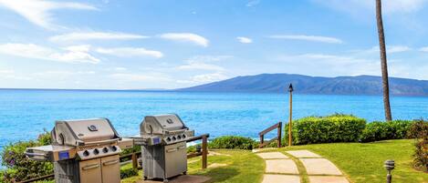 Área de parrilladas y picnic