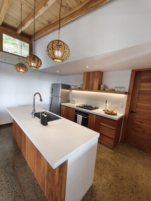 Kjøleskap, ovn, kokeplater og kaffetrakter/tekoker