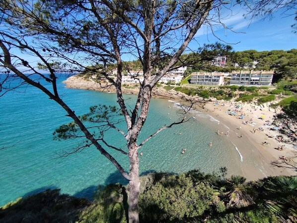 Sun loungers, beach towels