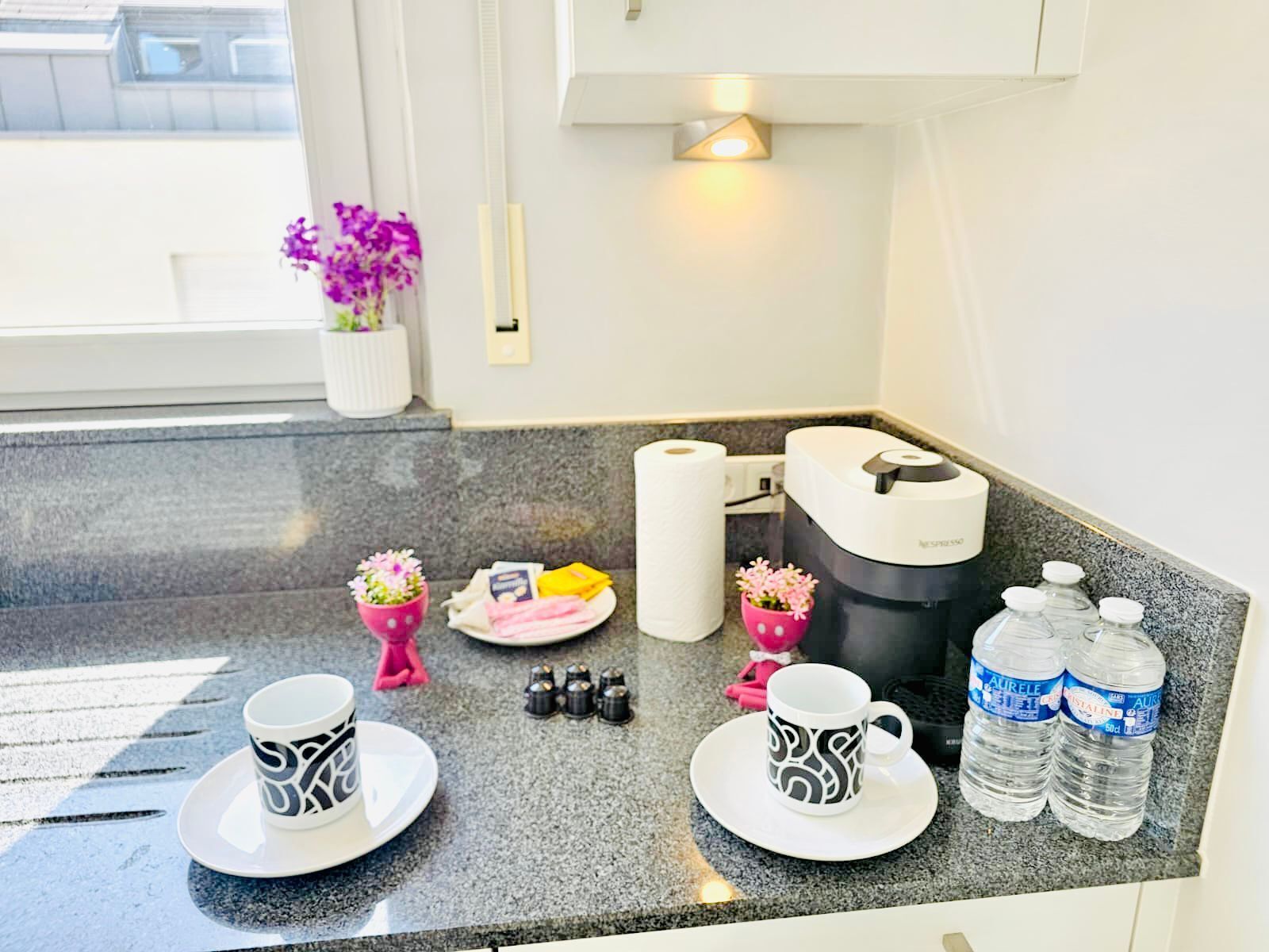 A kitchen counter with a coffee maker, two cups, a plate, a roll of paper towels, a small potted plant, and two bottles of water.
