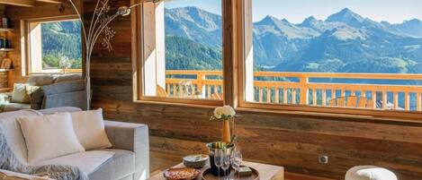 Télévision, cheminée, livres, chaîne hi-fi