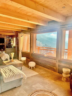 テレビ、暖炉、書庫、ステレオ