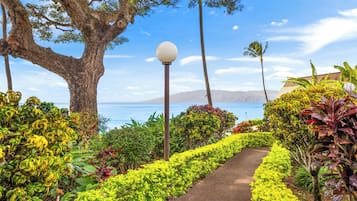 Khuôn viên nơi lưu trú