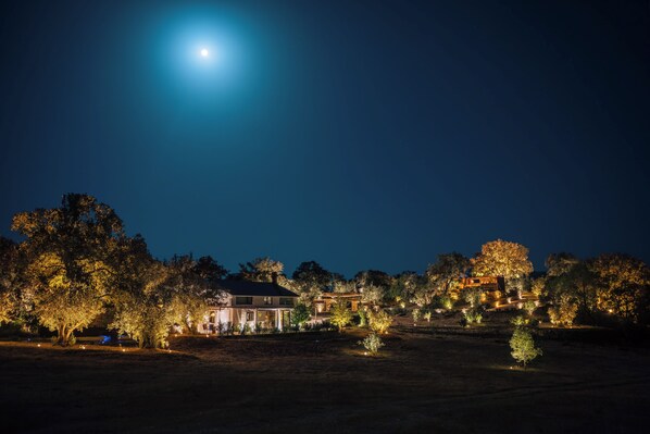 A nighttime view of a residential area with houses and trees, illuminated by street lighting. - Villa El Desbarbado (Montefrío)