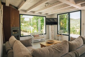 TV, fireplace