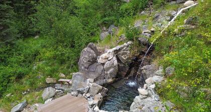 Private Hot Spring | Off Grid | River | Brundage
