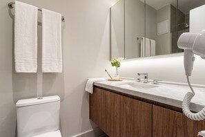 A bathroom with a toilet, a sink, a mirror, and a hairdryer.