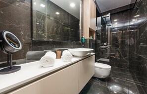 Shower, hair dryer, toilet paper