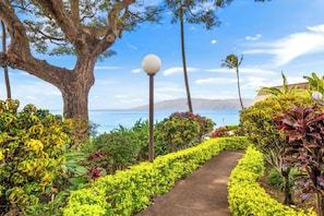 Property grounds - Kuleana Club - 611 (Lahaina)