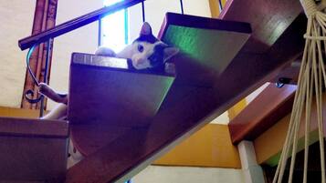 Room, 1 Bedroom | Interior