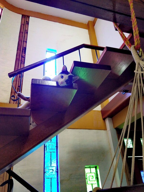 Room, 1 Bedroom | Bahagian dalam