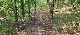 Serene Rustic Campsites at Cedar Ridge Ranch & Trails