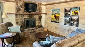 Un salon chaleureux avec une cheminée en pierre, un téléviseur à écran plat fixé au-dessus, et un mur décoré d’affiches encadrées.