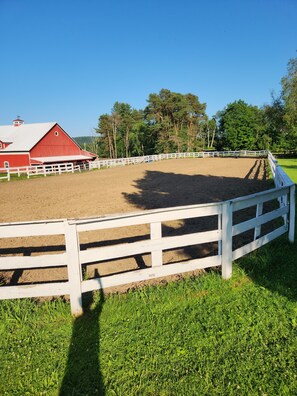 Property grounds - Spacious working horse farm, THE GALLOPING INN, where you can relax and unwind. (Spring Creek)