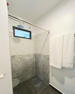 Shower, towels, soap, toilet paper