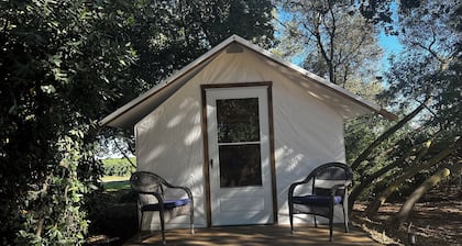 Rustic Cabin + Glamping Tent at Vineyard Retreat on Grand Island in Delta