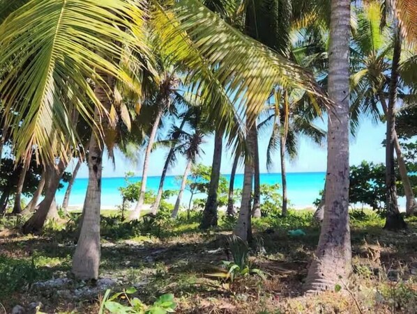 Plage