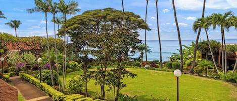 A well-maintained garden with palm trees, a lawn, and a pathway leading to a building.