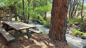 Outdoor dining - Modern Suite with Rustic Charm Dog Friendly Suite with King Bed and Full Kitchen (Cedaredge)