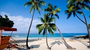 Ein Strand mit Palmen, einem Rettungsschwimmerstand und dem Meer im Hintergrund.