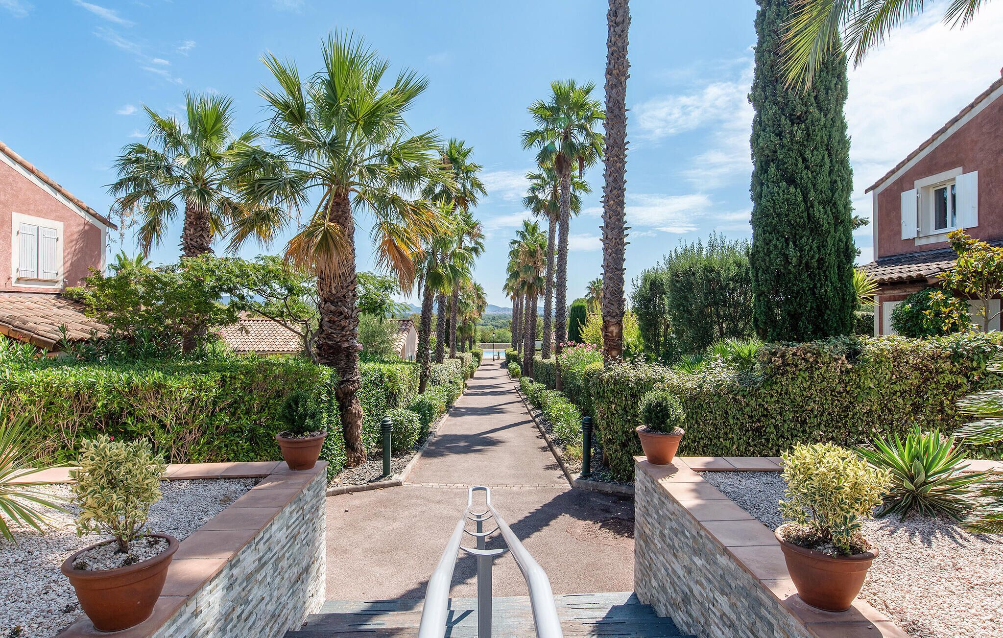 A pathway lined with palm trees and potted plants, leading to a building with a tiled roof.
