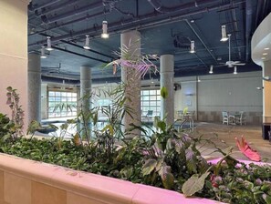Indoor pool, outdoor pool