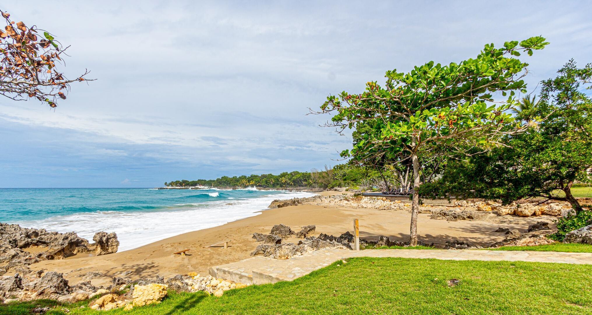 A beach with rocky shoreline, a grassy area, and a tree.
