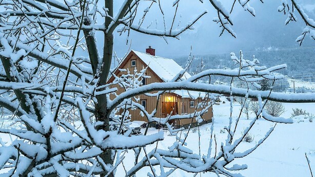 En stuga av trä med ett snötäckt tak, omgiven av snötyngda träd.