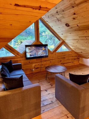 Televisión, chimenea