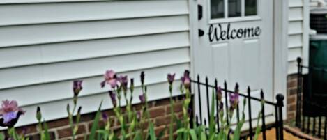 A white house with a 'Welcome' sign on the door, a brick wall, and a black metal fence.