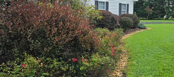 Charming studio in welcoming Dillwyn, near Farmville