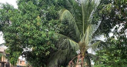 1BR Home in Shelter Afrique