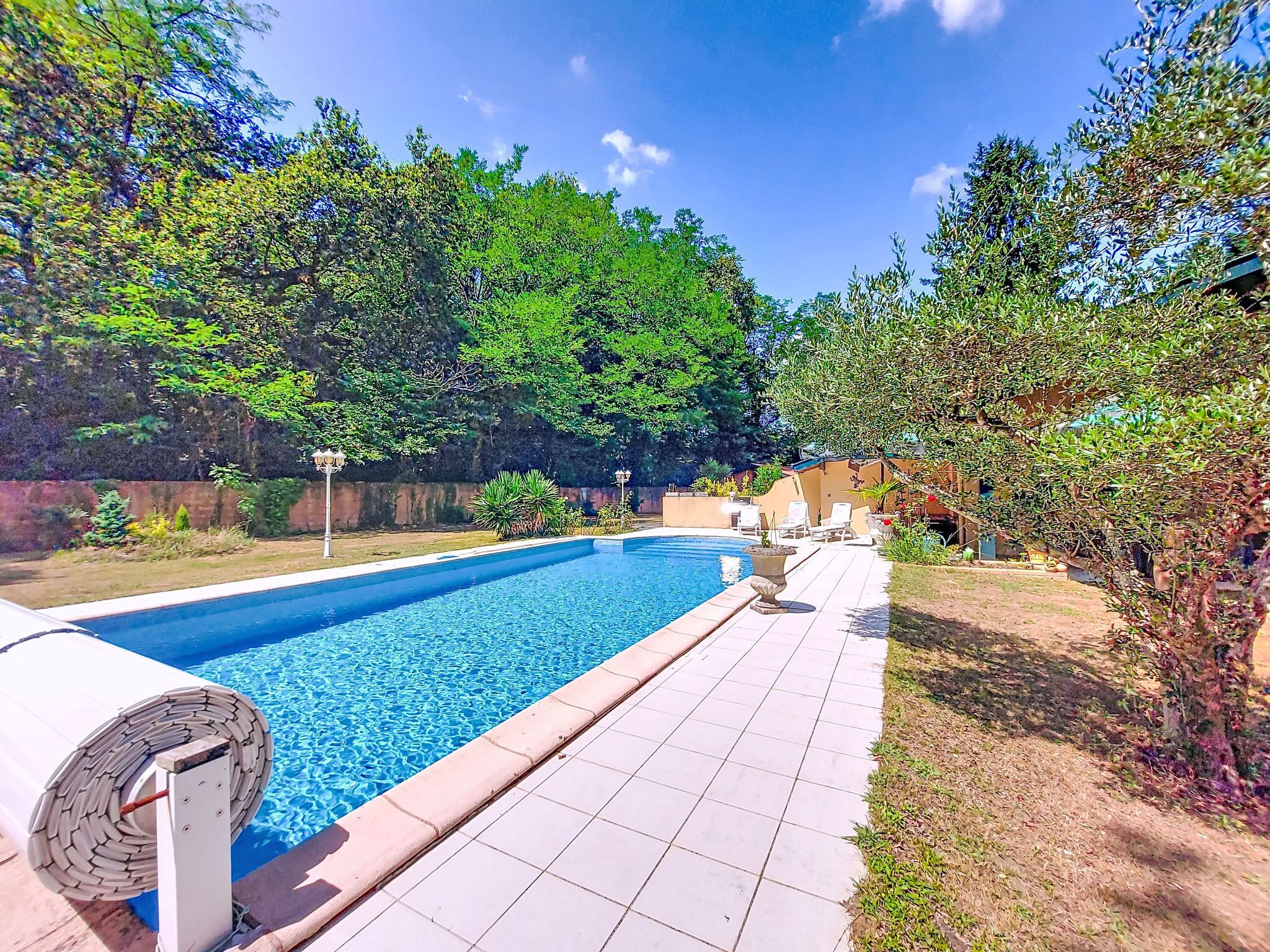A rectangular swimming pool with a tiled deck, surrounded by lush greenery and a clear blue sky.