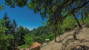 A rustic cabin with a tiled roof, surrounded by dense forest and a hillside. - Rifugio di Igor by Interhome (Montecatini Terme)