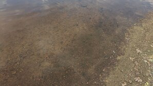 Um rio calmo com águas cristalinas refletindo o céu e o verde da vegetação ao redor.