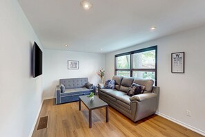 Fernseher, Kamin, DVD-Player