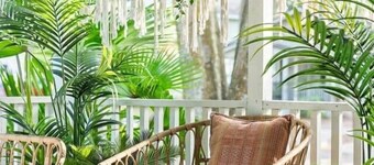 The Blue Bungalow
Peaceful | Porch | HotTub I DT