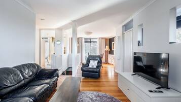 TV, fireplace, books