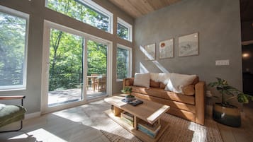 Smart TV, chimenea, libros, estéreo