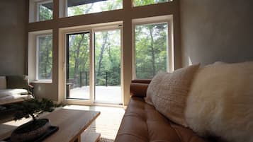 Smart TV, fireplace, books, stereo