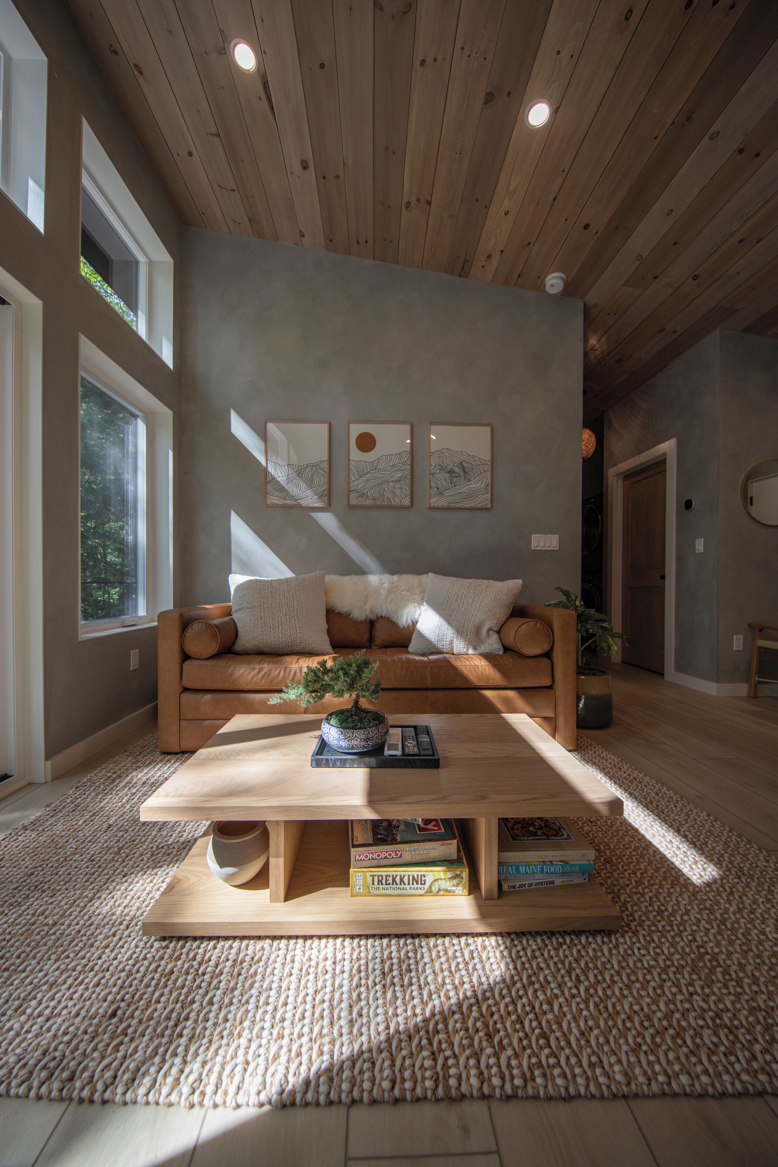 Smart TV, fireplace, books, stereo