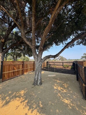 A tree in a backyard with a swing set.