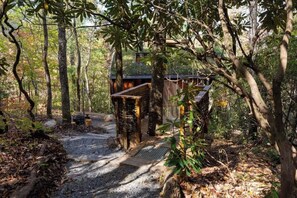 Property grounds - The Marsu Treehouse - 18 min from Highlands (Highlands)