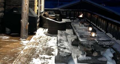 Cabin with the view of Northen light