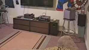 內部