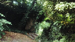 A narrow pathway leading into a dense, green forested area with a wooden fence and steps. - Greenbrook Suites (Aalborg)