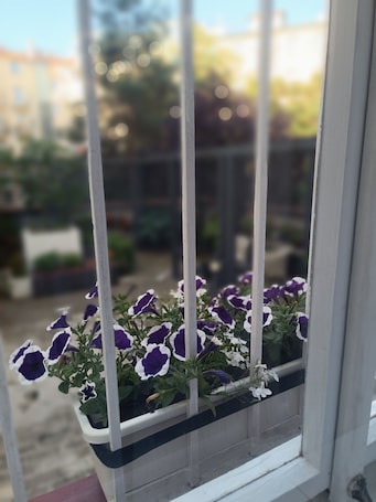 Unterkunftsgelände. Nice 1-bedroom apartment in Hlavní město Praha