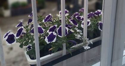 Nice 1-bedroom apartment in Hlavní město Praha